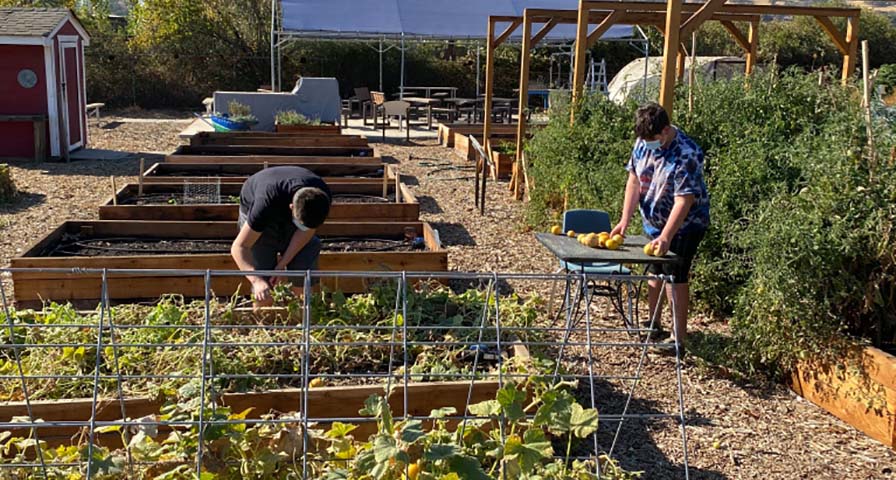 At Suisun Valley K-8 School, it’s grow-your-own food and phys ed